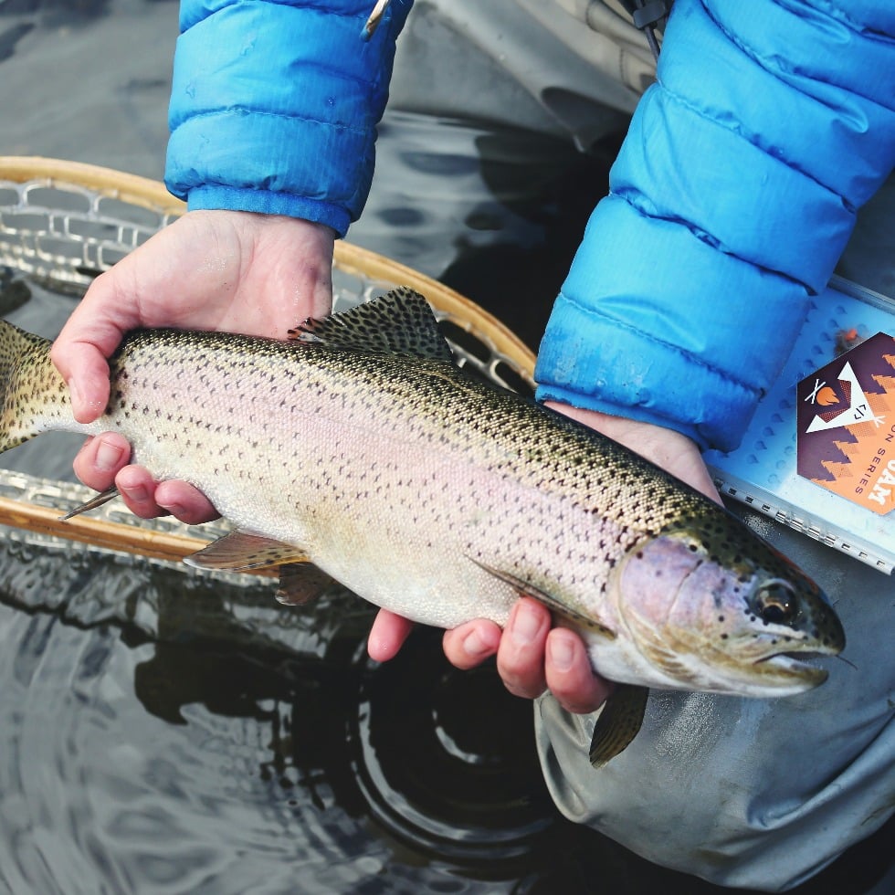 a person holding a fish